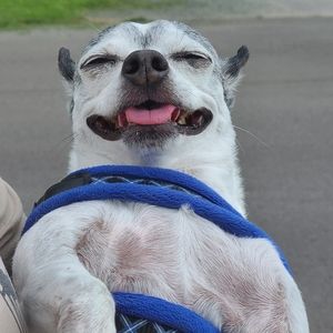 Meet your Posher, Carolina